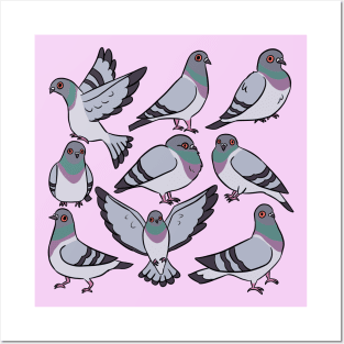 Cute Pigeons illustration Posters and Art